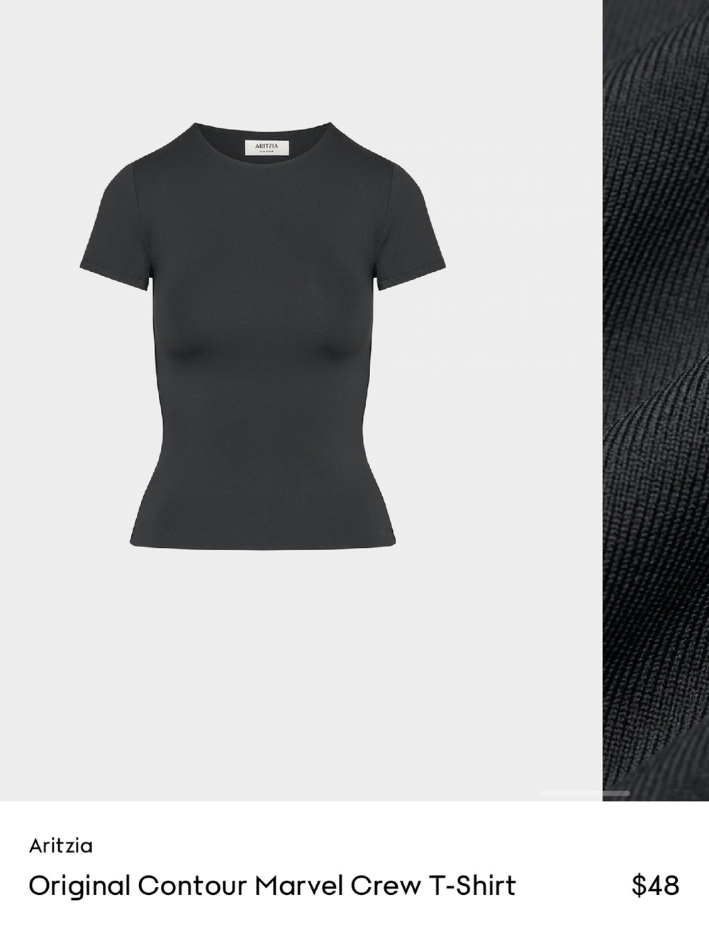 Aritzia Fitted Ribbed Crew Tee in Charcoal